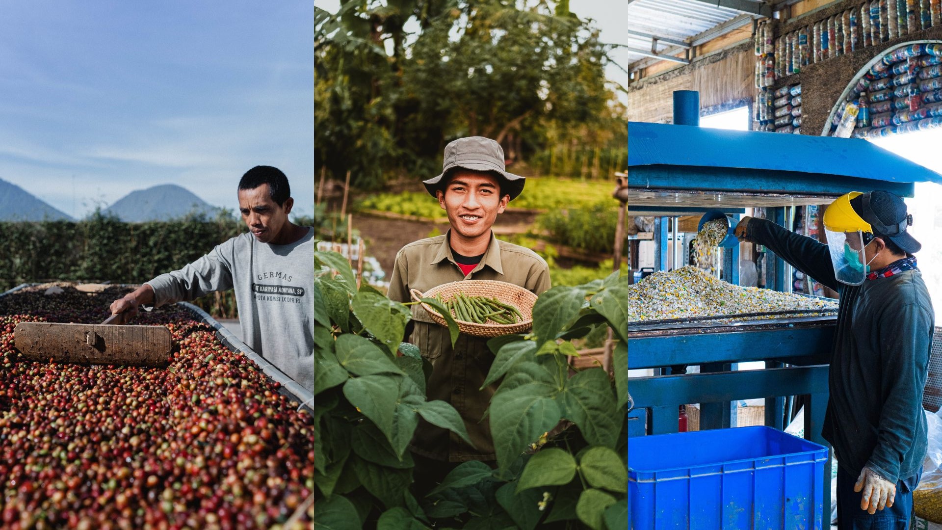 Coffee Plantation, Organic Vegetable & Sustainability Tour